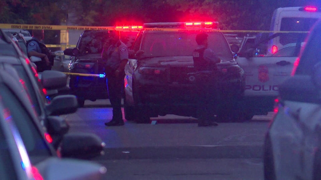 Minneapolis officer fires gun when armed teen carjacker hits squad in stolen car, police say — WCCO / CBS Minnesota, Fleming Island Health news