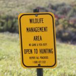 Pointers for Public Land Hunting — NewsDakota, Fleming Island Sports news