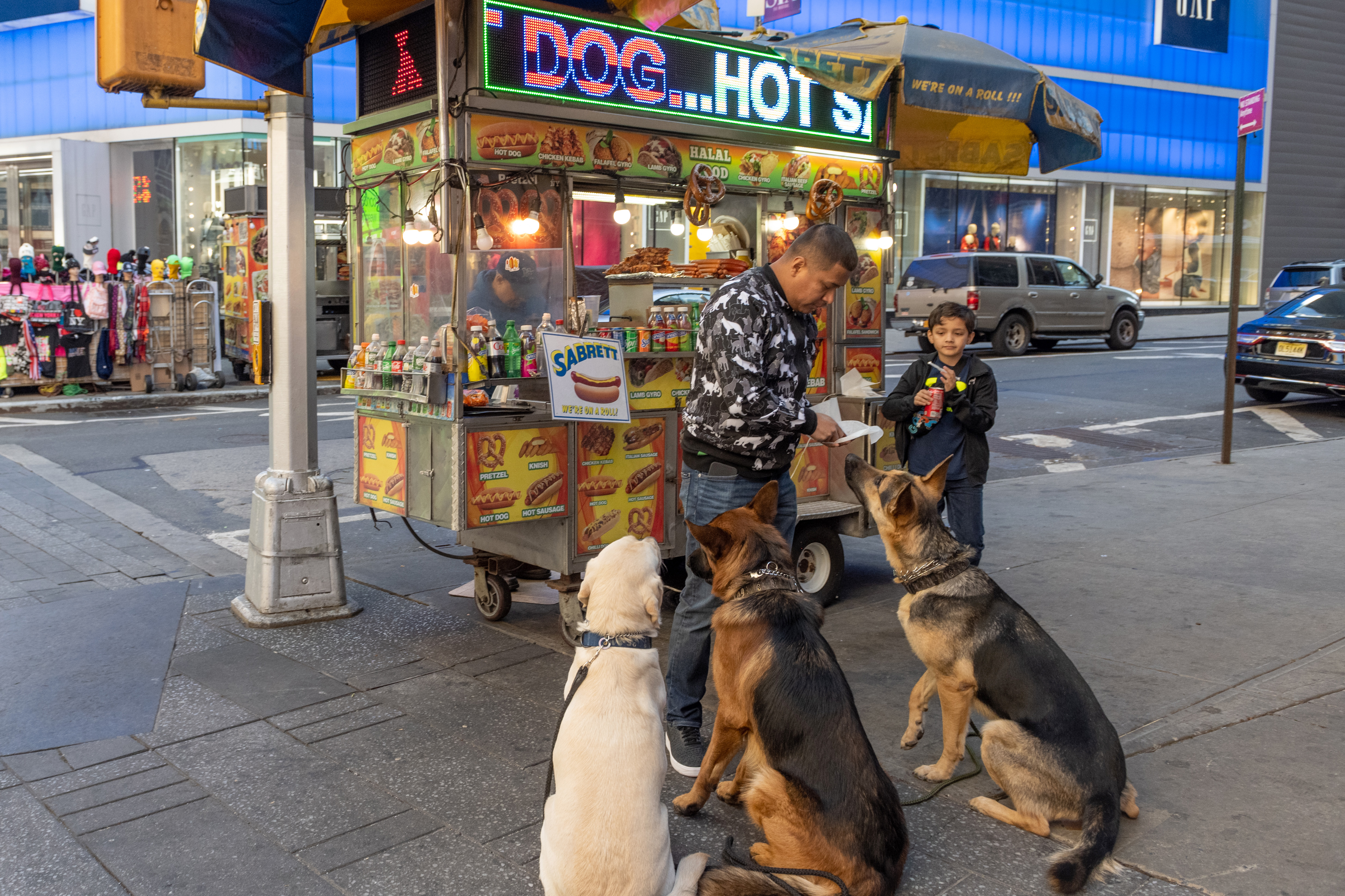 22 NYC food pantries to start offering pet food — Gothamist