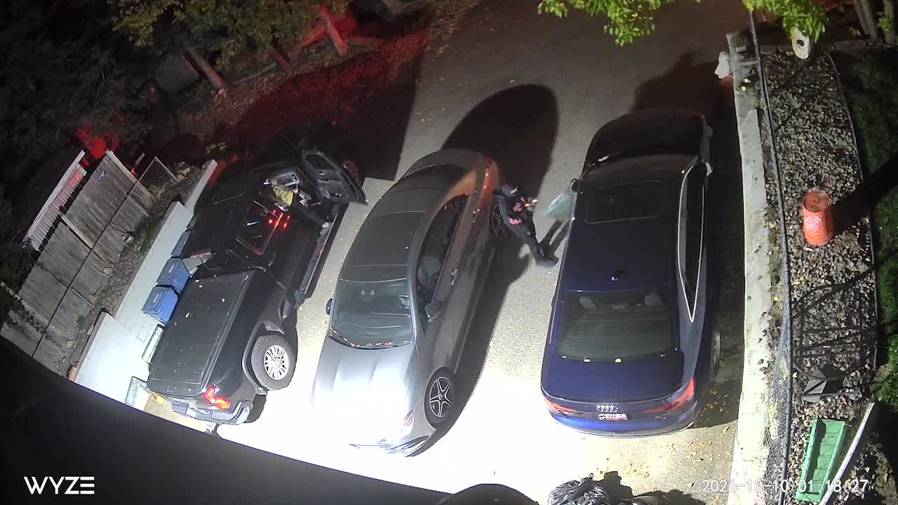 Juvenile window-smashing suspects caught on camera in south Minneapolis — KSTP 5, Fleming Island Real Estate news