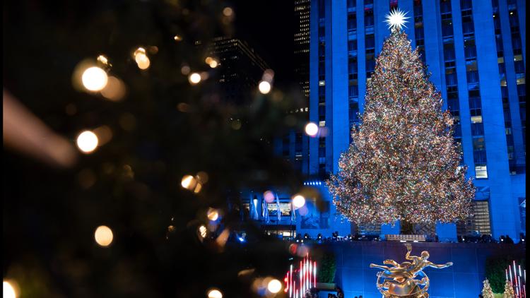 Rockefeller Center’s 2026 Christmas tree has been chosen. Here’s what to know — First Coast News Life JAX, Fleming Island Community news