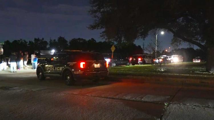 HPD: Man dies after going for swim in Sims Bayou in southeast Houston — KHOU 11 (Houston), Fleming Island Sports news