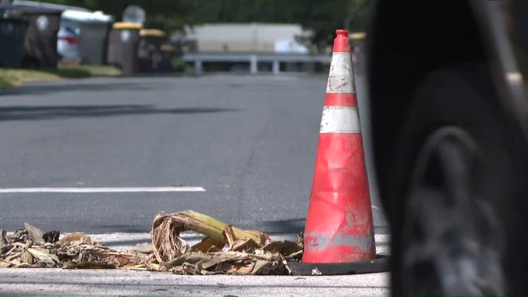 Two holes in Murray Hill roads filled by banana trees; JEA now says one will be repaired — First Coast News Local, Fleming Island Community news