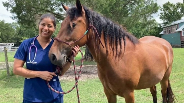 Friends push for release of veterinarian detained by ICE: ‘She just wanted her American dream’ — First Coast News Local, Fleming Island Community news