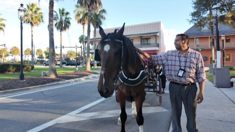 St. Augustine horse-drawn carriages get three-year extension after contentious vote ā First Coast News Local, Fleming Island Government news