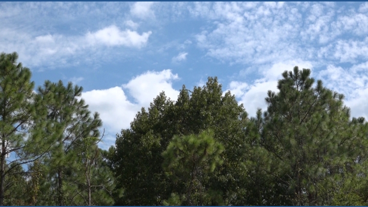 Three more agricultural enclave decisions before the St. Johns County Commission — First Coast News Local, Fleming Island Government news