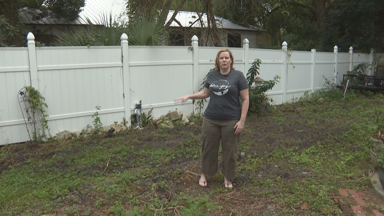 Green Cove Springs 'digging in' to solve wild hog problem — First Coast News Local