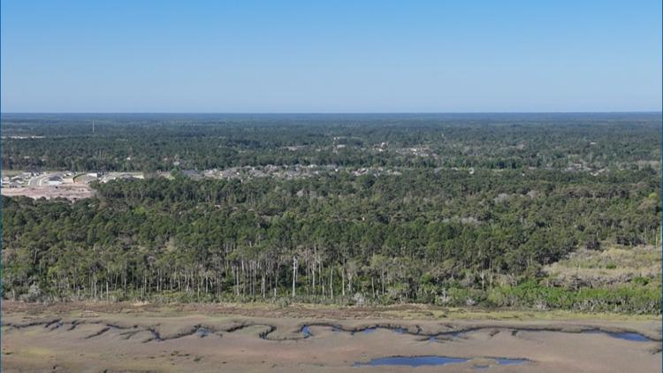 ON THE BALLOT: St. Johns County voters consider creating funding source for buying conservation land — First Coast News Local