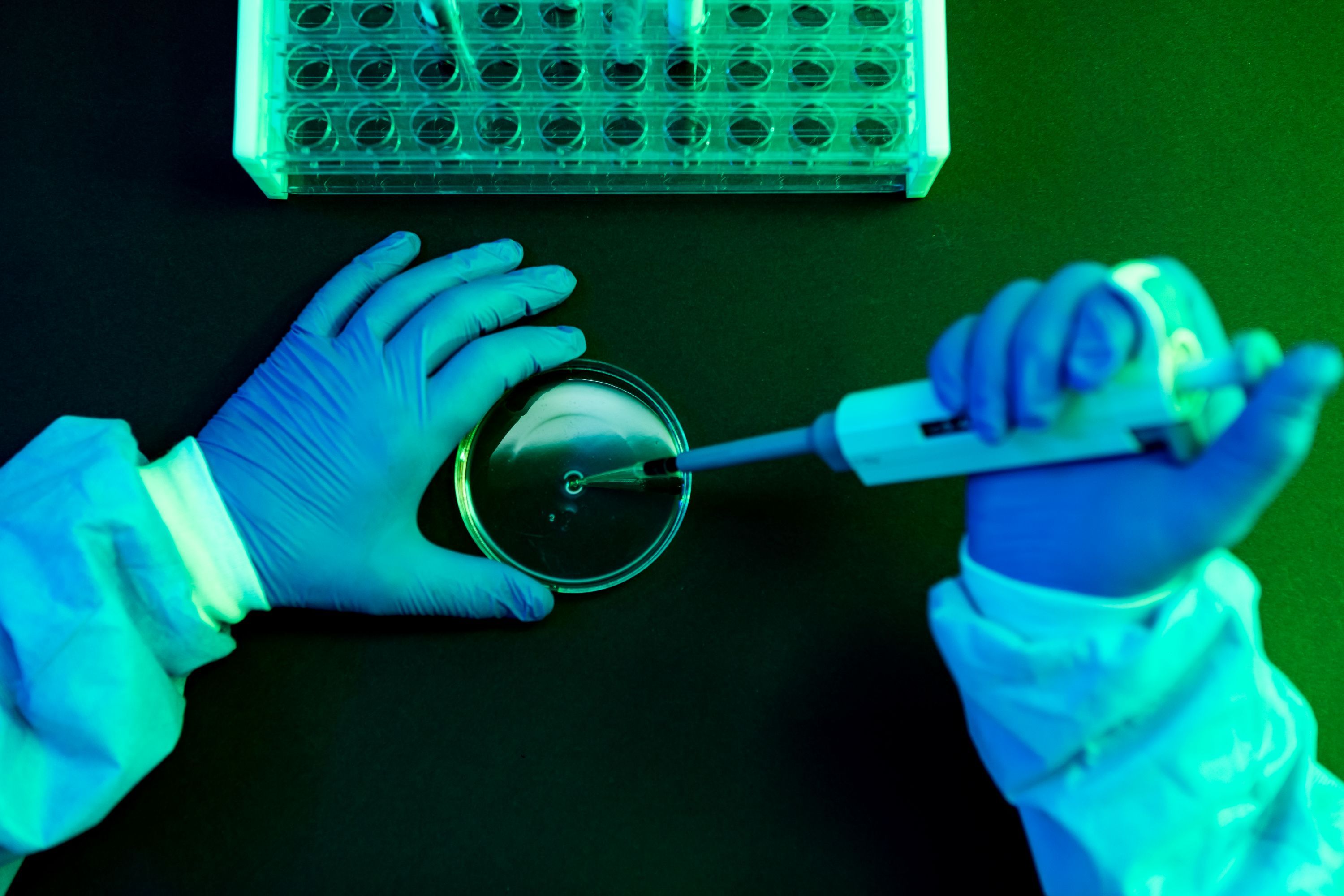 What to Know About Shamonda Virus Following the First Reported Human Infection — Wired, Fleming Island Technology news