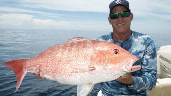 Florida approves expanded 2026 fall Atlantic red snapper season — News4JAX Local, Fleming Island Technology news