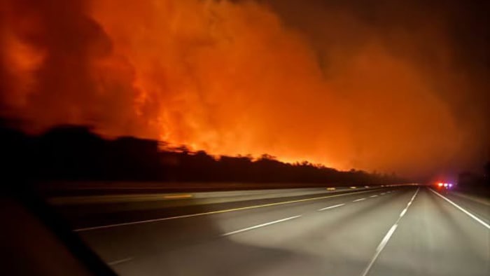 800-acre Camden County wildfire sparked by lightning strike fully contained — News4JAX Local, Fleming Island Government news