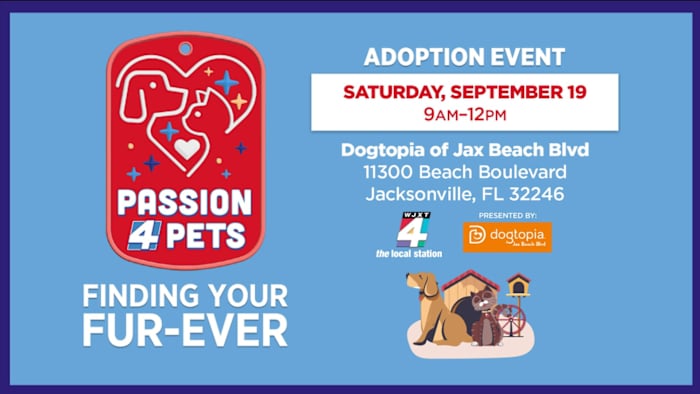 Find your fur-ever friend at Dogtopia of Jacksonville Beach Blvd’s Pet Adoption Event on Saturday, Sept. 19 — News4JAX Local, Fleming Island Community news